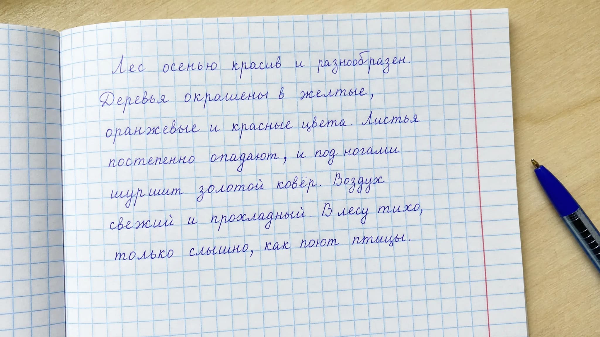 Photo of a handwritten notebook page to be checked for spelling and punctuation by AI